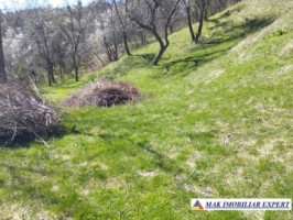 teren-5730-mp-intravilan-in-centru-campulung-arges-15