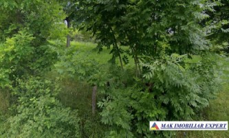 teren-intravilan-6000-mp-de-vanzare-in-berevoiesti-arges-2