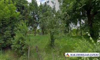 teren-intravilan-6000-mp-de-vanzare-in-berevoiesti-arges-1