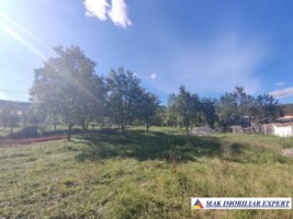 teren-intravilan-3750-mp-de-vanzare-in-boteni-arges