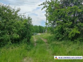 teren-intravilan-3750-mp-de-vanzare-in-boteni-arges-1