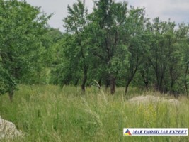 teren-intravilan-3750-mp-de-vanzare-in-boteni-arges-4