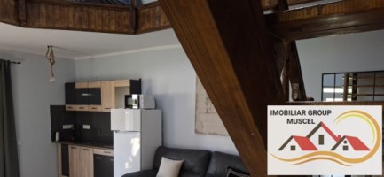 vanzare-vila-deosebita-intr-o-zona-pitoreasca-in-breaza-de-sus-la-pretul-de-125000-euro-negociabil-20