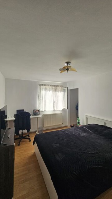 mitica-apostol-casa-pm-2004-ter-496mp-d-20ml-la-159000-eu-9