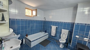 mitica-apostol-casa-pm-2004-ter-496mp-d-20ml-la-159000-eu-20