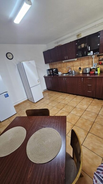 mitica-apostol-casa-pm-2004-ter-496mp-d-20ml-la-159000-eu-22