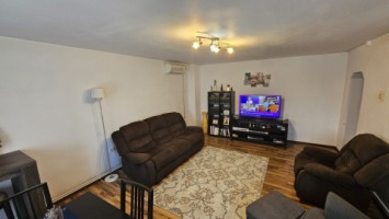 mitica-apostol-casa-pm-2004-ter-496mp-d-20ml-159000-eu-6