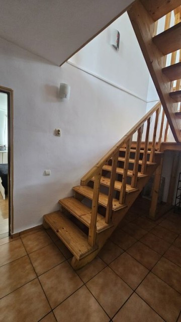 mitica-apostol-casa-pm-2004-ter-496mp-d-20ml-159000-eu-16