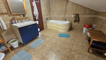 mitica-apostol-casa-pm-2004-ter-496mp-d-20ml-159000-eu-27