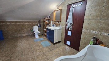 mitica-apostol-casa-pm-2004-ter-496mp-d-20ml-159000-eu-32