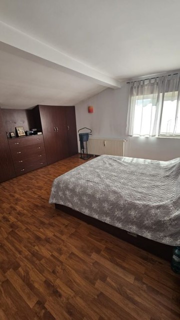 mitica-apostol-casa-pm-2004-ter-496mp-d-20ml-159000-eu-33