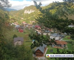 teren-2600-mp-intravilan-in-dambovicioara-arges