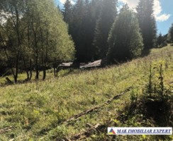 teren-2600-mp-intravilan-in-dambovicioara-arges-1