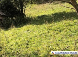 teren-2600-mp-intravilan-in-dambovicioara-arges-4