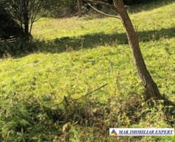 teren-2600-mp-intravilan-in-dambovicioara-arges-2