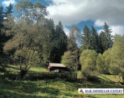 teren-2600-mp-intravilan-in-dambovicioara-arges-8