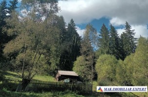 teren-2600-mp-intravilan-in-dambovicioara-arges-9