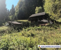 teren-2600-mp-intravilan-in-dambovicioara-arges-10