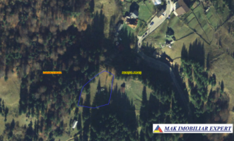 teren-2600-mp-intravilan-in-dambovicioara-arges-14