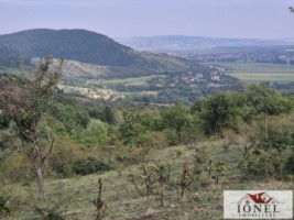 casa-de-vanzare-cu-47880-mp-teren-in-vintu-de-jos-mereteu-10