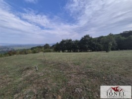 casa-de-vanzare-cu-47880-mp-teren-in-vintu-de-jos-mereteu-16