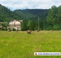 teren-intraextravilan-2000-mp-de-vanzare-rucar-satic-arges-1