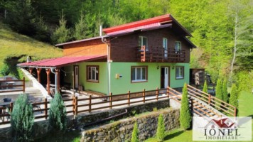 casa-de-de-vanzare-in-pianu-strungari