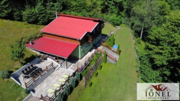 casa-de-de-vanzare-in-pianu-strungari-1