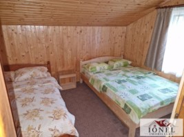 casa-de-de-vanzare-in-pianu-strungari-5