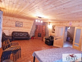 casa-de-de-vanzare-in-pianu-strungari-2