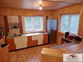 casa-de-de-vanzare-in-pianu-strungari-3