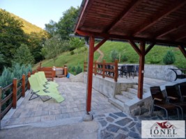 casa-de-de-vanzare-in-pianu-strungari-9