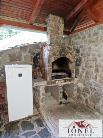 casa-de-de-vanzare-in-pianu-strungari-10