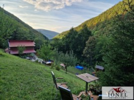 casa-de-de-vanzare-in-pianu-strungari-12