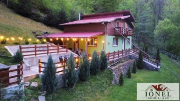 casa-de-de-vanzare-in-pianu-strungari-13