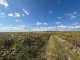 teren-extravilan-arabil-10-ha-2