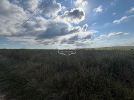 teren-extravilan-arabil-10-ha-5