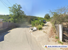 teren-intravilan-1466-mp-de-vanzare-pitesti-bascov-arges-18