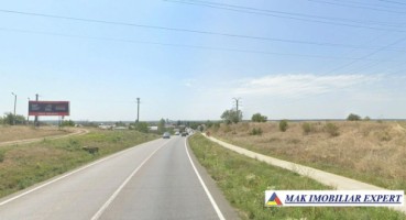 teren-5000-mp-extravilan-in-ulmi-dumbrava-dambovita-3