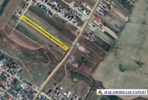 teren-5000-mp-extravilan-in-ulmi-dumbrava-dambovita-7