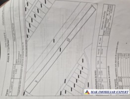teren-5000-mp-extravilan-in-ulmi-dumbrava-dambovita-4
