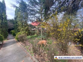 vand-vila-8-camere-teren-de-1000-mp-in-stalpeni-arges-12