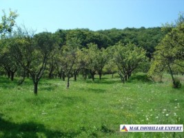 teren-7827-mp-intraextravilan-in-balilesti-arges-1