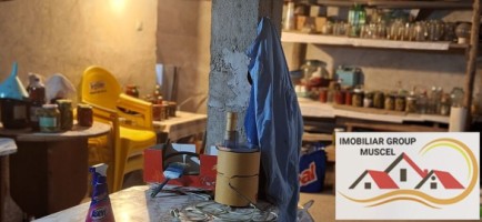 vanzare-vila-deosebita-cu-demisol-parter-etaj-cu-doua-terase-si-un-balcon-la-pretul-de-142000-euro-negociabil-in-campulung-28