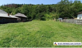 teren-4000-mp-intravilan-de-vanzare-in-aninoasa-arges