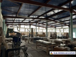 vand-proprietate-industriala-8000-mp-in-mihaesti-arges-2