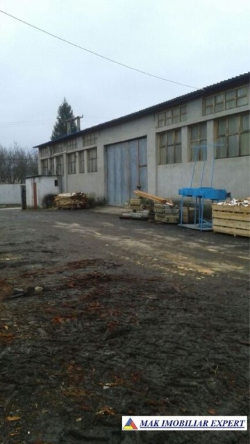 vand-proprietate-industriala-8000-mp-in-mihaesti-arges-1