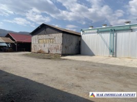vand-proprietate-industriala-8000-mp-in-mihaesti-arges-3
