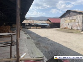 vand-proprietate-industriala-8000-mp-in-mihaesti-arges-4