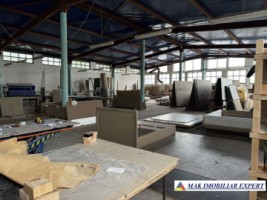 vand-proprietate-industriala-8000-mp-in-mihaesti-arges-6